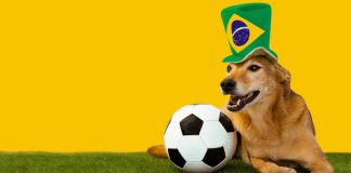 1190 Sports leva o Brasileirão à Espanha e à França Bet7k