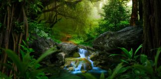 Play’n GO explora a Floresta Amazônica em busca de tesouros em abundância em seu novo slot Slot