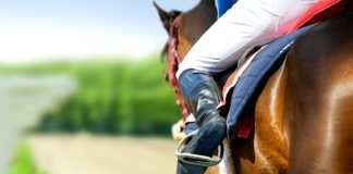 SIS e RAS unem-se para oferecer oferta premium de corridas ao vivo para Stake.com SIS