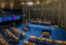 Senado discutirá PL que legaliza cassinos e jogo do bicho físicos cassinos