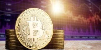 Dirk Camilleri, iGP: atendendo nossa plataforma ao segmento ‘completamente único’ de crypto cassino iGP