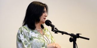 Senadora Damares Alves será relatora de dois projetos que podem impactar indústria das apostas esportivas Damares Alves