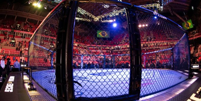 Imagem da 'cage' do UFC para falar do anúncio de Werdum como novo embaixador do SeuBet