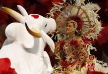 Casa de apostas Esportes da Sorte estreou como patrocinadora do Festival de Parintins, no Amazonas
