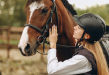 Cavalo e mulher