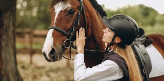 Capitão Augusto apresenta projeto para liberar apostas em todas modalidades equestres Cavalo e mulher