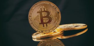 SBC Summit 2025: Dee Maher, La Royale Gaming Investments & Celesta, comenta inovação e criptomoedas nas apostas on-line Moeda dourada com o símbolo da Bitcoin
