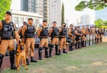 25 pessoas são denunciadas por movimentar quase R$ 200 milhões com apostas ilegais no jogo do bicho MPPR deflagra Operação Las Vegas e denuncia 25 pessoas por jogo do bicho em Londrina