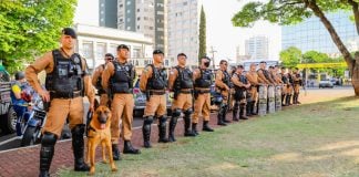 MPPR deflagra Operação Las Vegas e denuncia 25 pessoas por jogo do bicho em Londrina