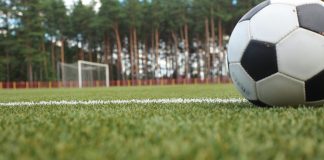 Uma bola de futebol e um gramado.
