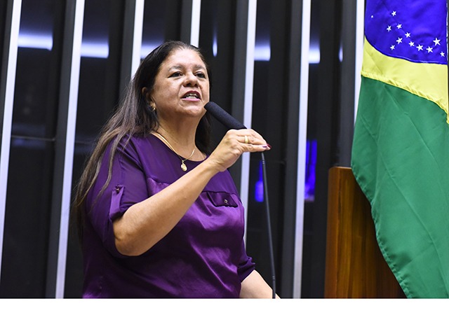 Deputada federal Laura Carneiro.