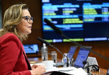 PL que destina parte do imposto sobre apostas ao esporte militar avança no Senado Senadora Leila Barros (PDT-DF)